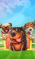 The Dog House